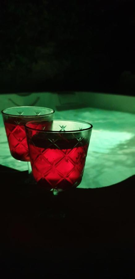 Maison De Maitre A Bram # Jacuzzi المظهر الخارجي الصورة